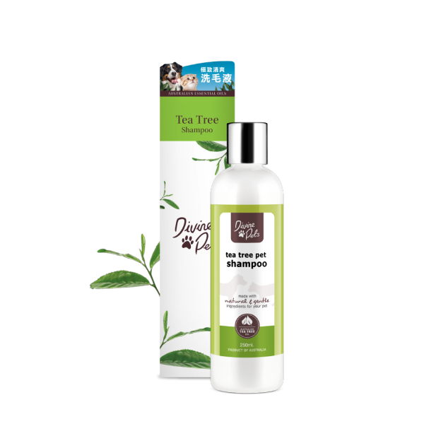  Divine Pets Tea Tree Shampoo 極致清爽洗毛液 500ml